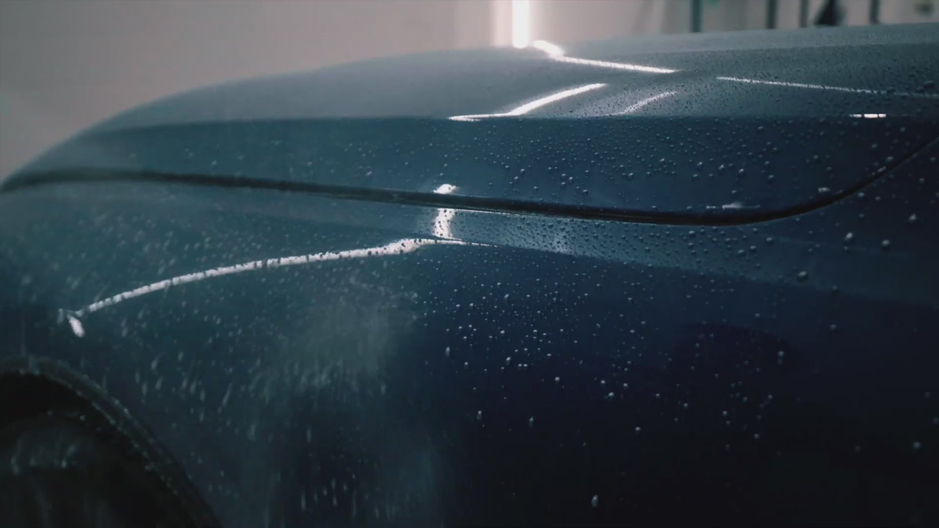 Load video: Paint Protection Film. PPF BMW